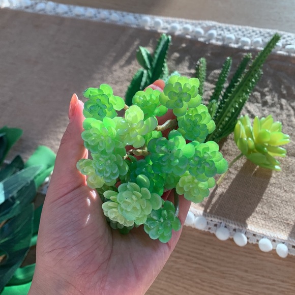 ☀️Hump Day Happiness SALE☀️ Styling fun ✨7 Pieces Plant Styling props - Picture 7 of 12